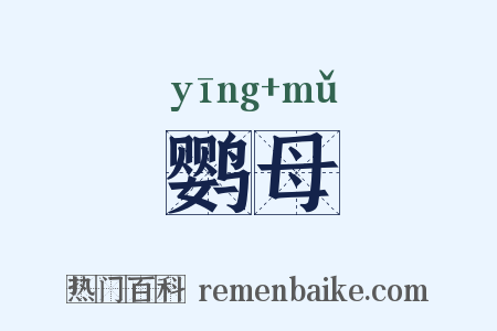 鹦母是什么意思的图片